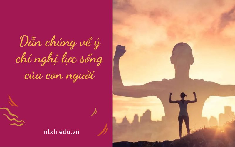 Dẫn chứng về ý chí nghị lực sống của con người