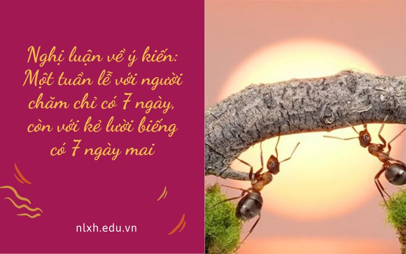Nghị luận về ý kiến: Một tuần lễ với người chăm chỉ có 7 ngày, còn với kẻ lười biếng có 7 ngày mai