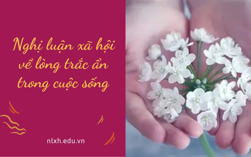 Nghị luận xã hội về lòng trắc ẩn trong cuộc sống
