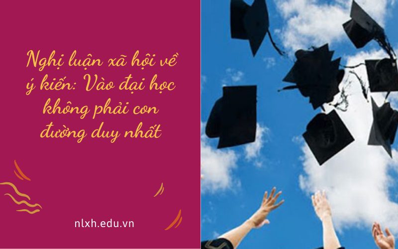 Nghị luận xã hội về ý kiến: Vào đại học không phải con đường duy nhất