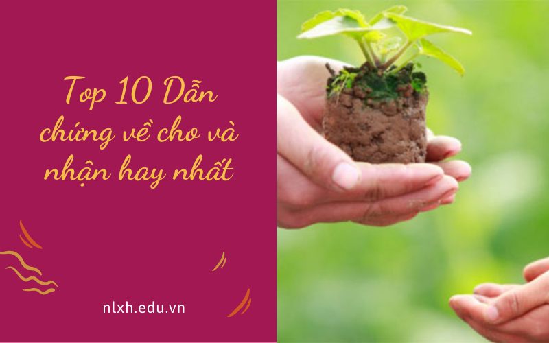 Top 10 Dẫn chứng về cho và nhận hay nhất