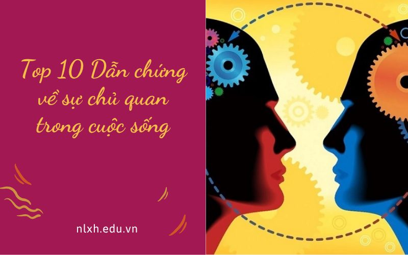 Dẫn chứng về sự chủ quan