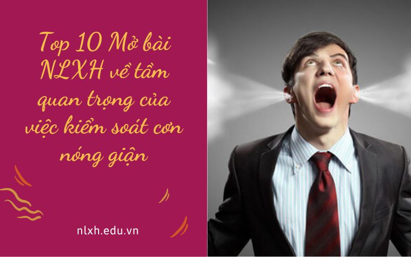 Mở bài NLXH về tầm quan trọng của việc kiểm soát cơn nóng giận