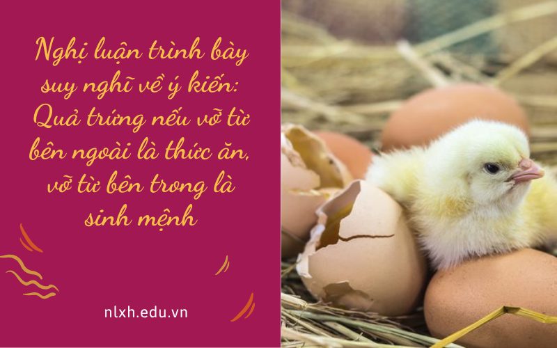 Nghị luận trình bày suy nghĩ về ý kiến: Quả trứng nếu vỡ từ bên ngoài là thức ăn, vỡ từ bên trong là sinh mệnh