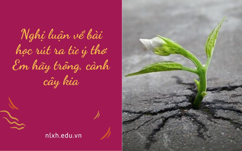 Nghị luận về bài học rút ra từ ý thơ Em hãy trông, cành cây kia