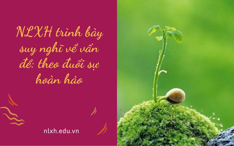 NLXH trình bày suy nghĩ về vấn đề: theo đuổi sự hoàn hảo