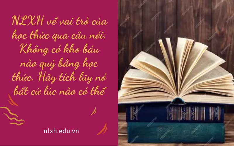 NLXH về vai trò của học thức qua câu nói: Không có kho báu nào quý bằng học thức. Hãy tích lũy nó bất cứ lúc nào có thể