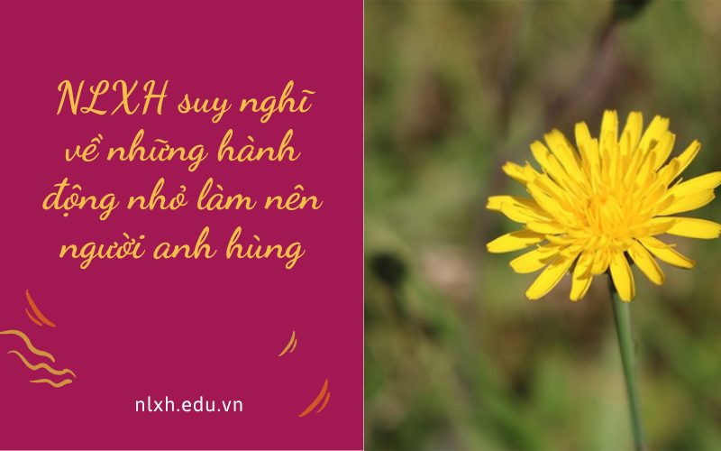 NLXH suy nghĩ về những hành động nhỏ làm nên người anh hùng