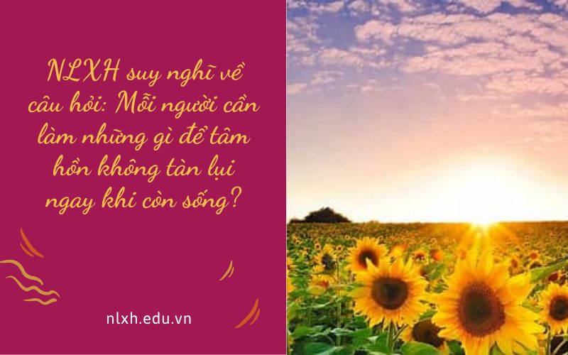 NLXH suy nghĩ về câu hỏi: Mỗi người cần làm những gì để tâm hồn không tàn lụi ngay khi còn sống?