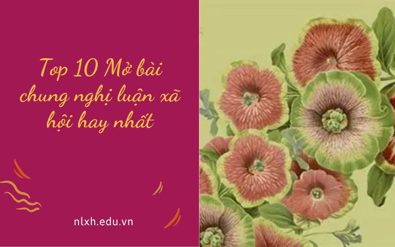 Mở bài chung nghị luận xã hội