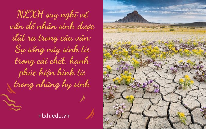 NLXH suy nghĩ về vấn đề nhân sinh được đặt ra trong câu văn: Sự sống nảy sinh từ trong cái chết, hạnh phúc hiện hình từ trong những hy sinh
