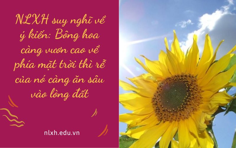 NLXH suy nghĩ về ý kiến: Bông hoa càng vươn cao về phía mặt trời thì rễ của nó càng ăn sâu vào lòng đất