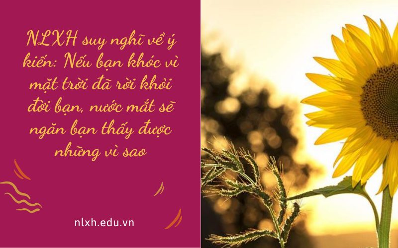 NLXH suy nghĩ về ý kiến: Nếu bạn khóc vì mặt trời đã rời khỏi đời bạn, nước mắt sẽ ngăn bạn thấy được những vì sao