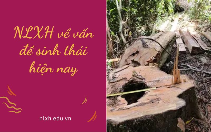 NLXH về vấn đề sinh thái hiện nay