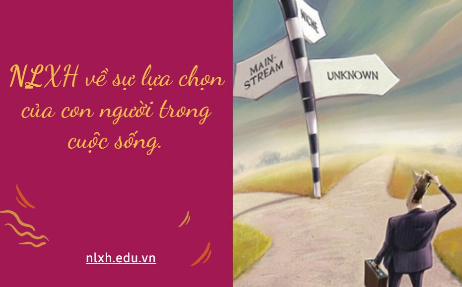 NLXH về chủ đề: sự lựa chọn của con người trong cuộc sống.
