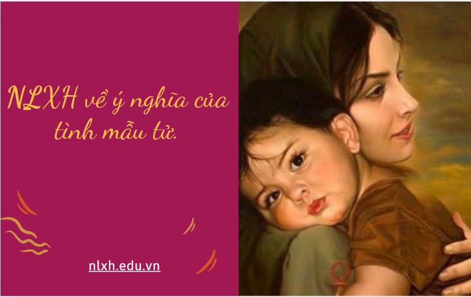NLXH về chủ đề: ý nghĩa của tình mẫu tử.