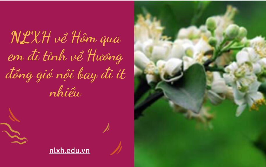 NLXH bàn về vấn đề Hôm qua em đi tỉnh về/Hương đồng gió nội bay đi ít nhiều