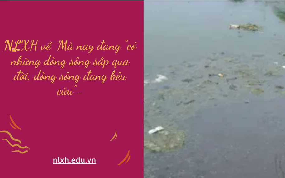 NLXH bàn về vấn đề Mà nay đang “có những dòng sông sắp qua đời, dòng sông đang kêu cứu”…