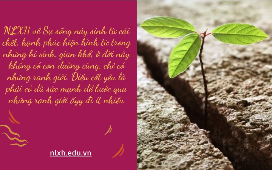 NLXH bàn về vấn đề Sự sống nảy sinh từ cái chết, hạnh phúc hiện hình từ trong những hi sinh, gian khổ, ở đời này không có con đường cùng, chỉ có những ranh giới. Điều cốt yêu là phải có đủ sức mạnh để bước qua những ranh giới ấy