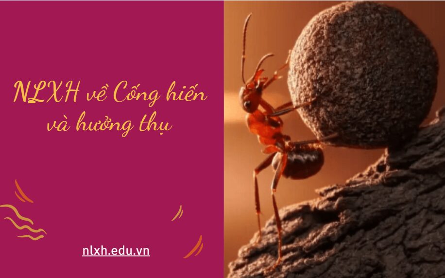 NLXH suy nghĩ về vấn đề Cống hiến và hưởng thụ