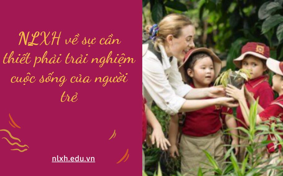 NLXH suy nghĩ về vấn đề sự cần thiết phải trải nghiệm cuộc sống của người trẻ