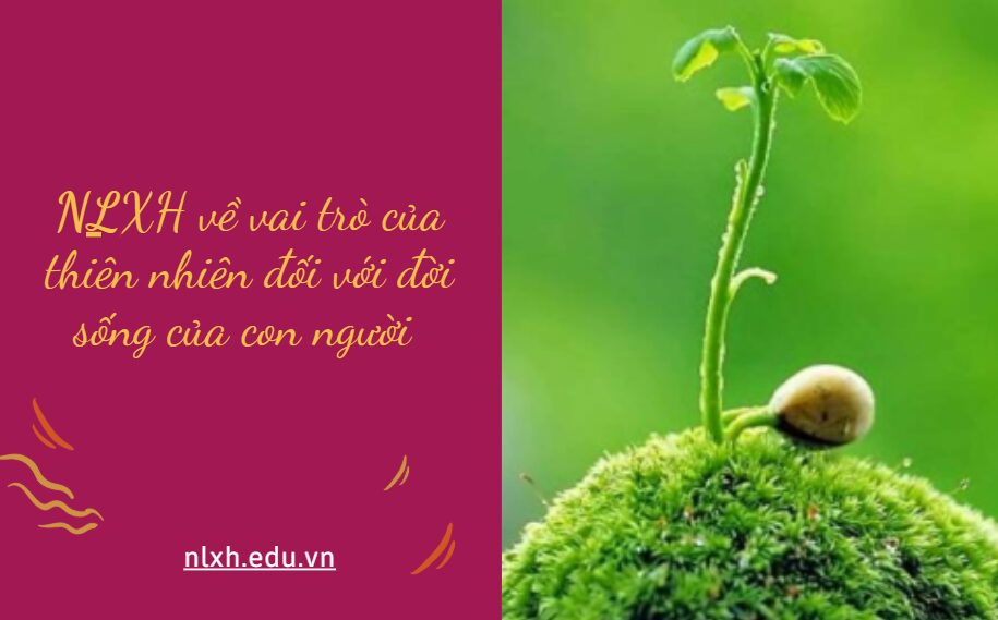 NLXH suy nghĩ về vấn đề vai trò của thiên nhiên đối với đời sống của con người