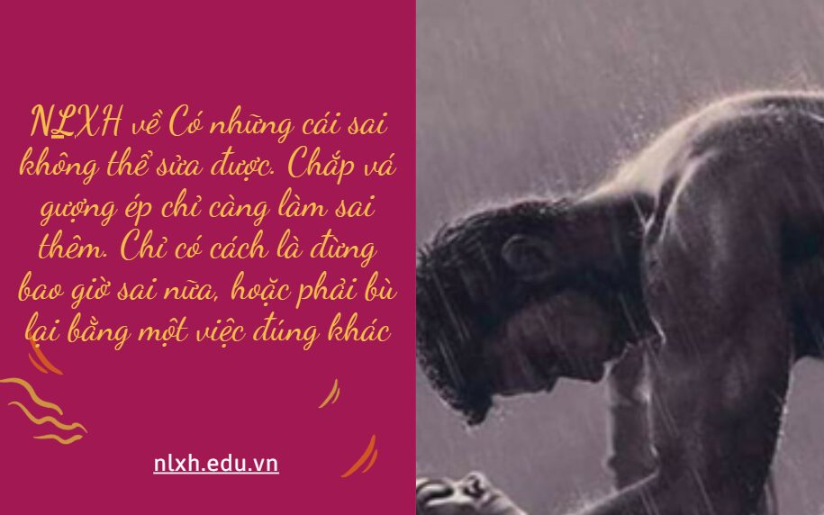 NLXH về chủ đề Có những cái sai không thể sửa được. Chắp vá gượng ép chỉ càng làm sai thêm. Chỉ có cách là đừng bao giờ sai nữa, hoặc phải bù lại bằng một việc đúng khác