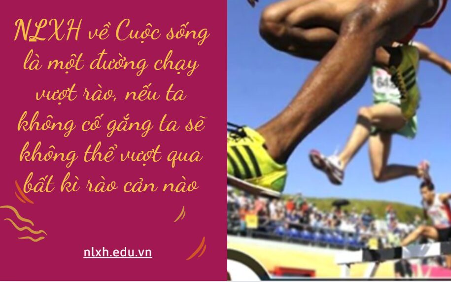 Viết bài văn nghị luận xã hội bàn về vấn đề Cuộc sống là một đường chạy vượt rào, nếu ta không cố gắng ta sẽ không thể vượt qua bất kì rào cản nào