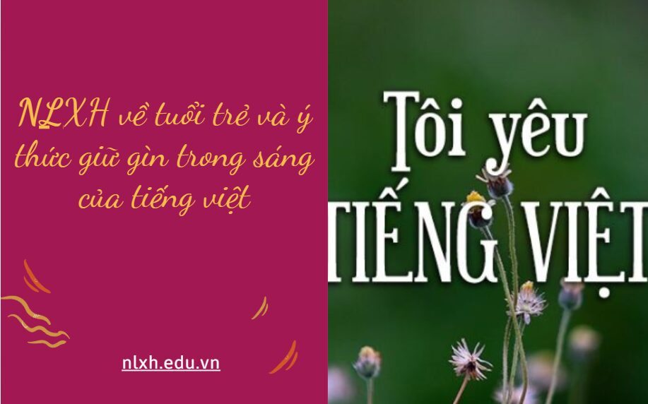 Viết 1 bài NLXH bàn luận về tuổi trẻ và ý thức giữ gìn trong sáng của tiếng việt