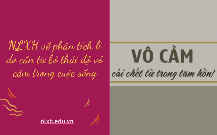 Viết bài văn 600 chữ phân tích lí do cần từ bỏ thái độ vô cảm trong cuộc sống
