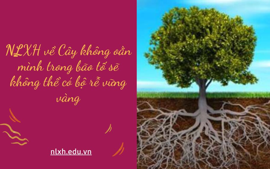 Viết bài văn bàn luận về quan niệm sống được gửi gắm qua câu nói sau Cây không oằn mình trong bão tố sẽ không thể có bộ rễ vững vàng