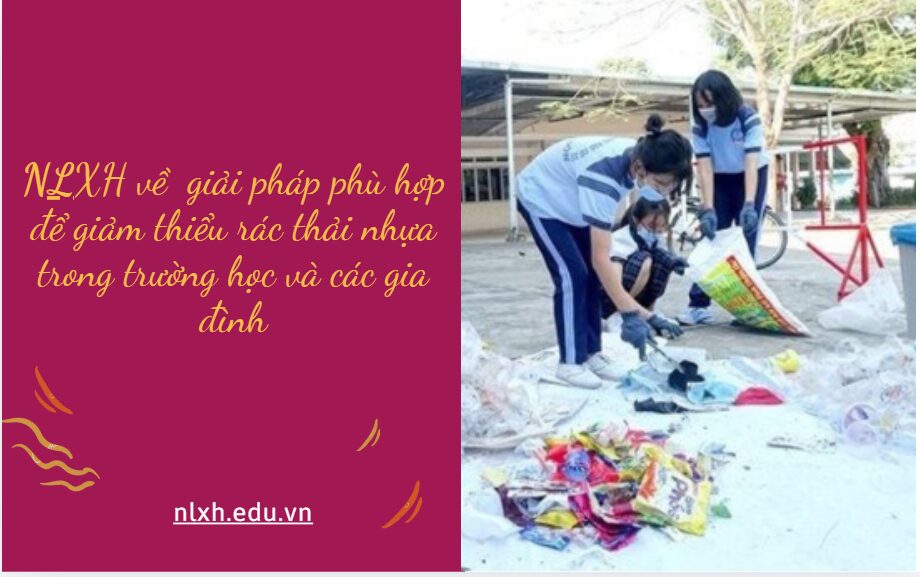 Viết bài văn nghị luận bàn về giải pháp phù hợp để giảm thiểu rác thải nhựa trong trường học và các gia đình